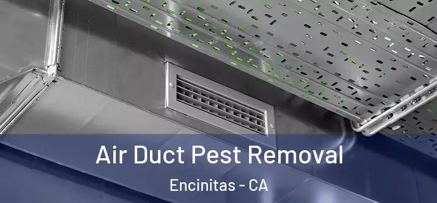 Air Duct Pest Removal Encinitas - CA
