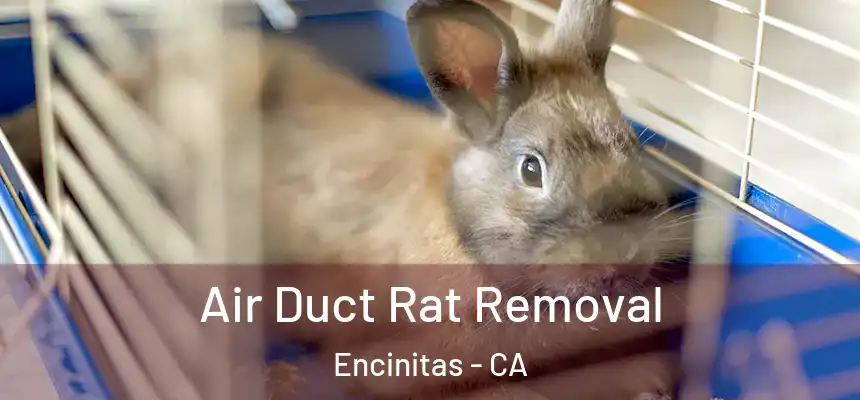  Air Duct Rat Removal Encinitas - CA