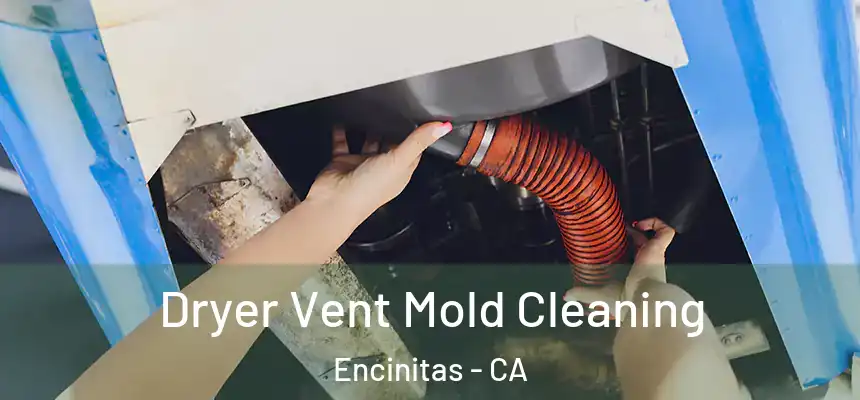 Dryer Vent Mold Cleaning Encinitas - CA