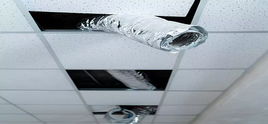 Affordable HVAC Sanitizing After Pest Removal in Encinitas