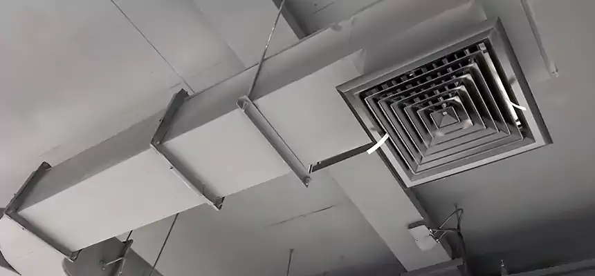 Restorative Allergy Relief Vent Cleaning – Coil, Blower & Housing Detail in Encinitas