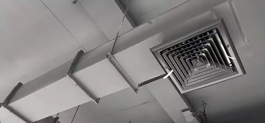 Our Rodent Droppings In Vents Services in Encinitas, CA