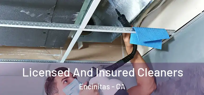 Licensed And Insured Cleaners Encinitas - CA