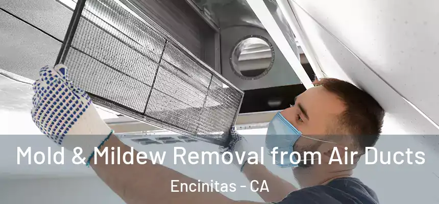  Mold & Mildew Removal from Air Ducts Encinitas - CA