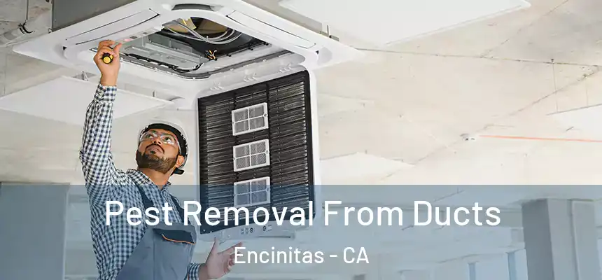 Pest Removal From Ducts Encinitas - CA