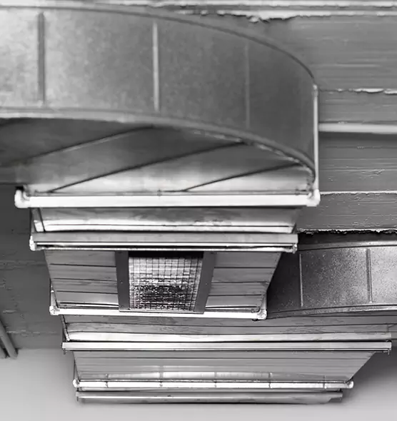 Professional Air Duct Pest Removal in Encinitas, CA