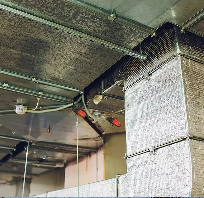 Why Homeowners & Businesses Trust Us in Encinitas, CA?