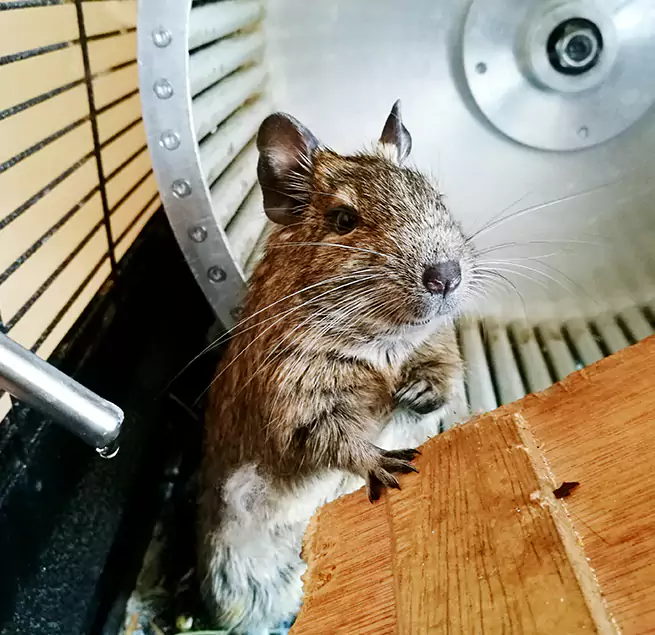 Why Homeowners & Businesses Trust Us Encinitas, CA?