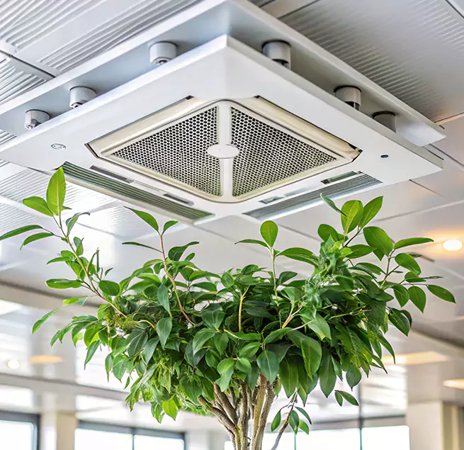 Why Homeowners & Businesses Trust Us in Encinitas, CA?