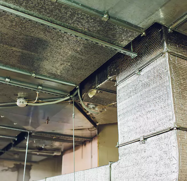 Why Homeowners & Businesses Trust Us in Encinitas, CA?